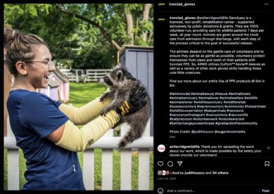 Wildlife rehabber holding baby raccoon while wearing Ironclad gloves and kevlar sleeves.