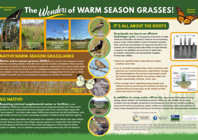 Interpretive sign for Warm Season Grasses at Merrill Creek, NJ.